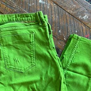 THVM This Here Very Moment W 36 L 30